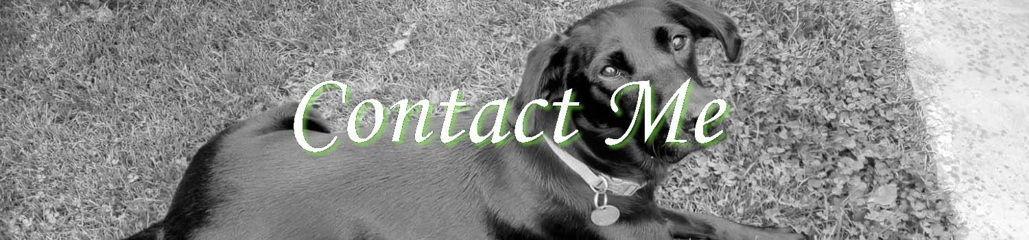 Contact Sid Valley Dog Training